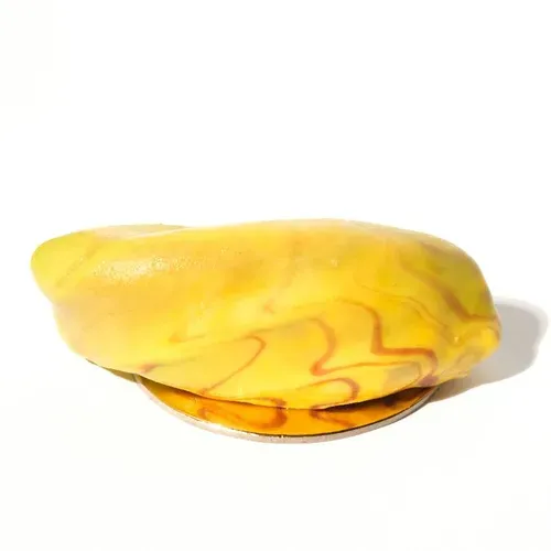 Mousse Fistic